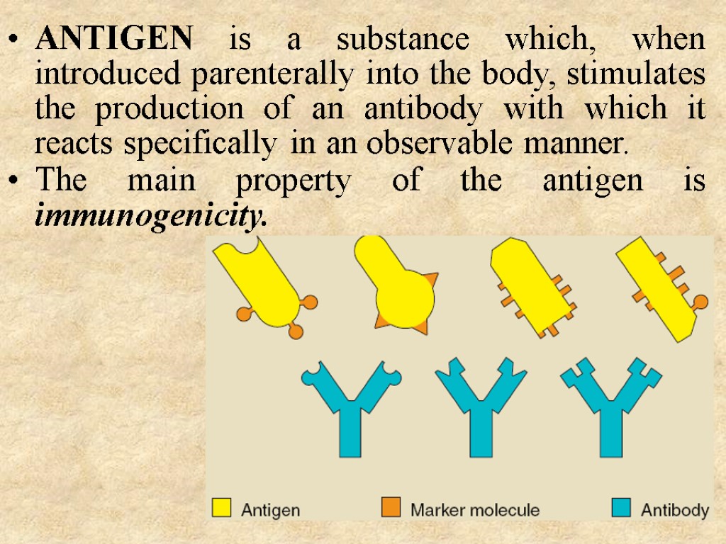 ANTIGEN is a substance which, when introduced parenterally into the body, stimulates the production